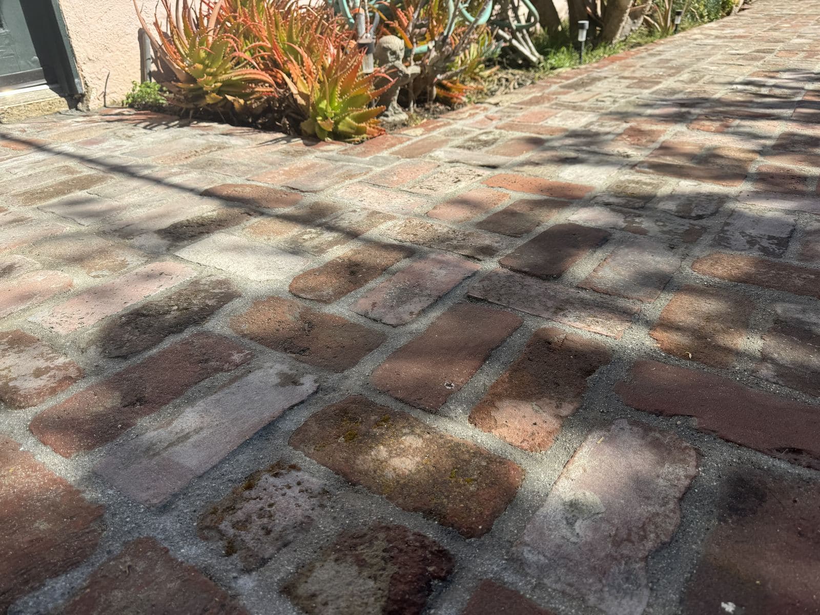 Close-up of finished reclaimed brick walkway pattern showing rust color variation in Carlson Park project