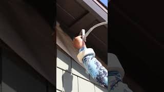 Professional Spray Finish