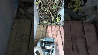 Restoring a Weathered Deck with an EZ-8 Sander