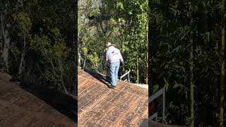 Roof Restoration: Clearing & Prep